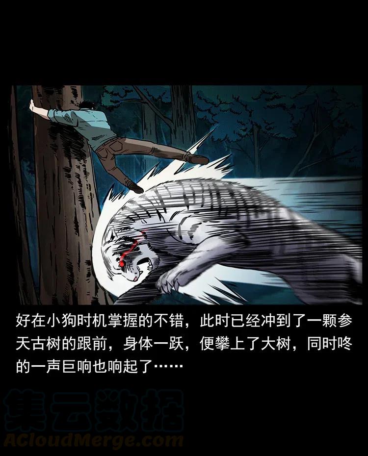 342 白毛僵尸36