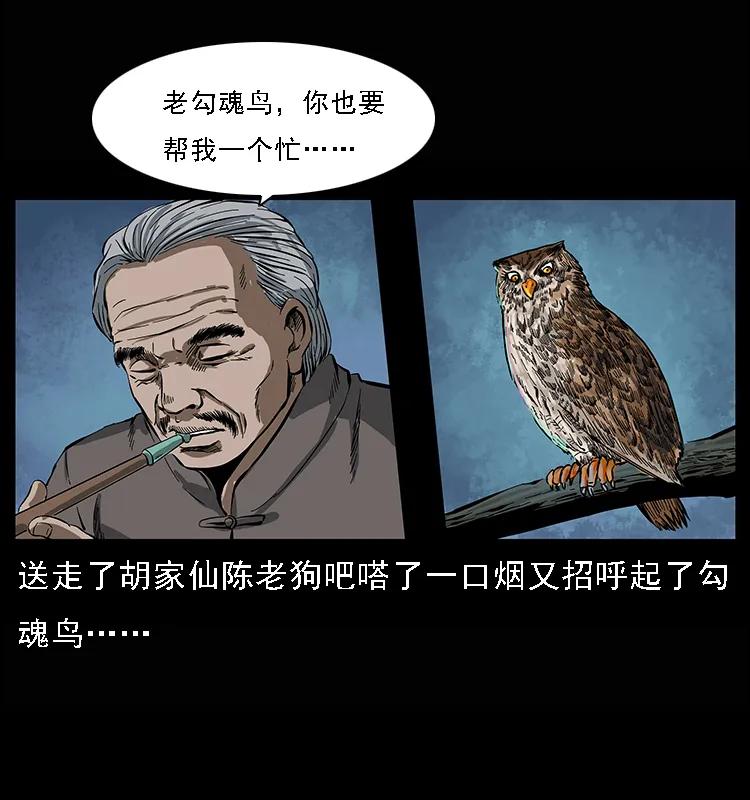 084 刨尸狗的妖化之路67