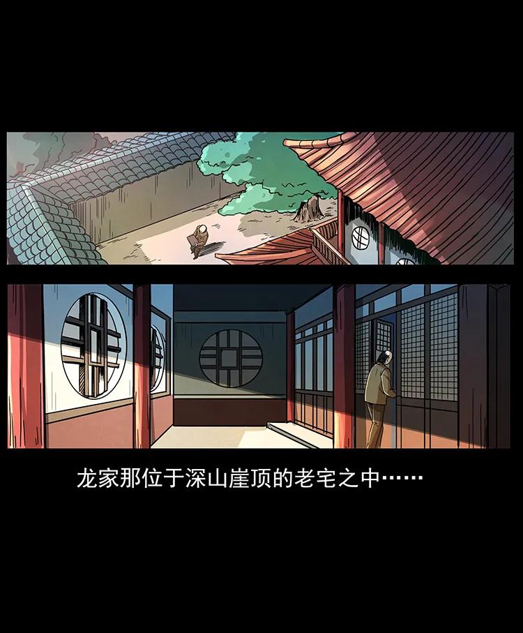 205 大曝光！14