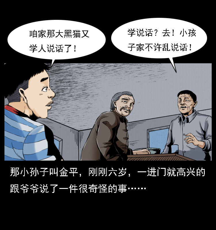 003 赵家的猫28