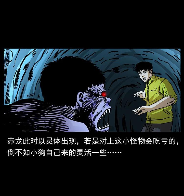 181 龙家人初现86
