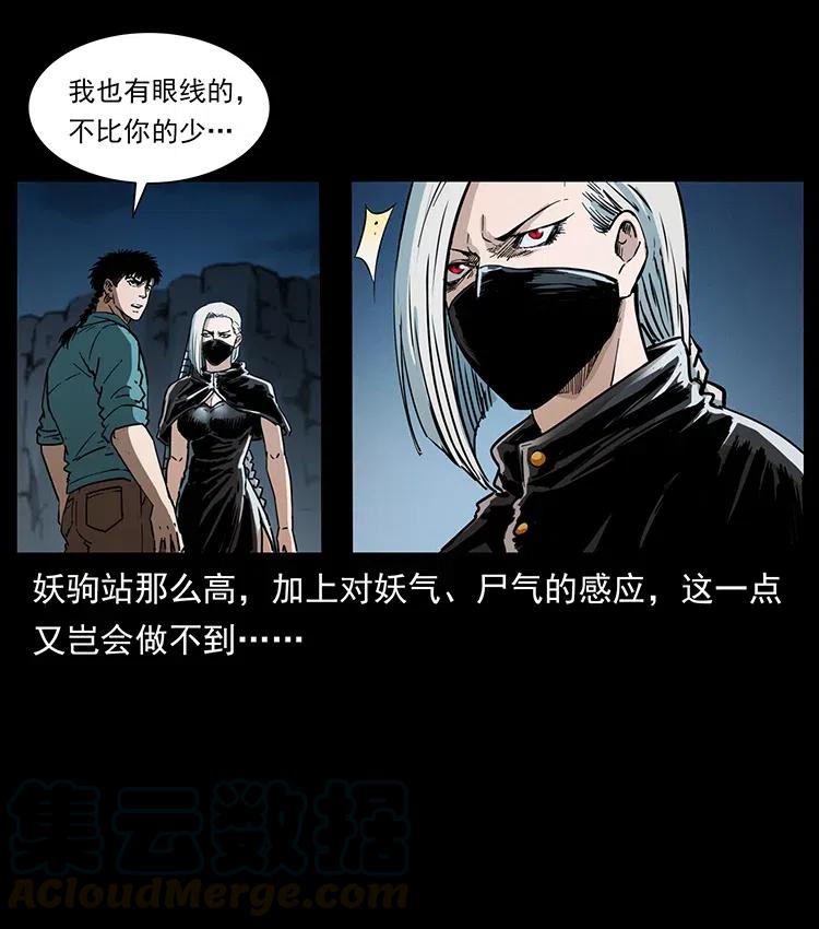 370 乌翅凤凰72
