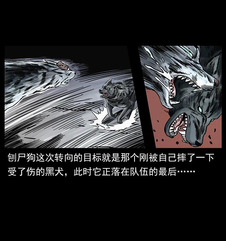 252 危机！危机14