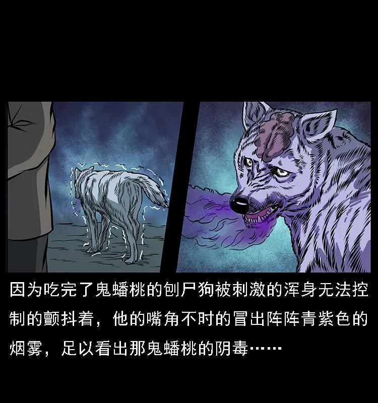 084 刨尸狗的妖化之路22