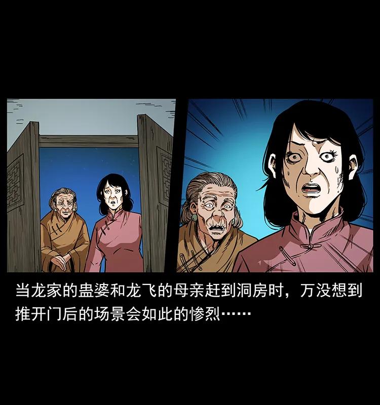 189 龙家的实力82