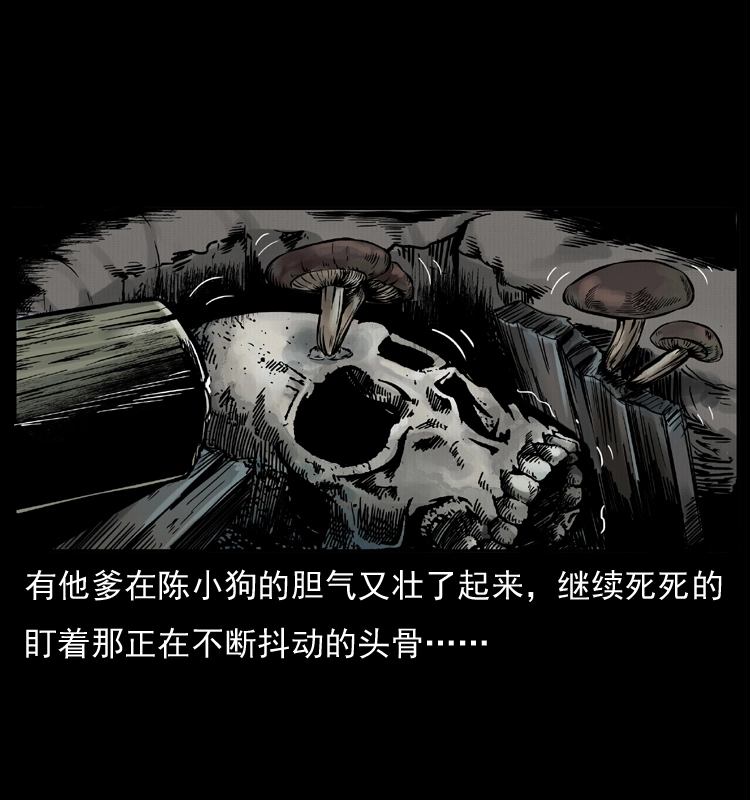 006 棺材菇42