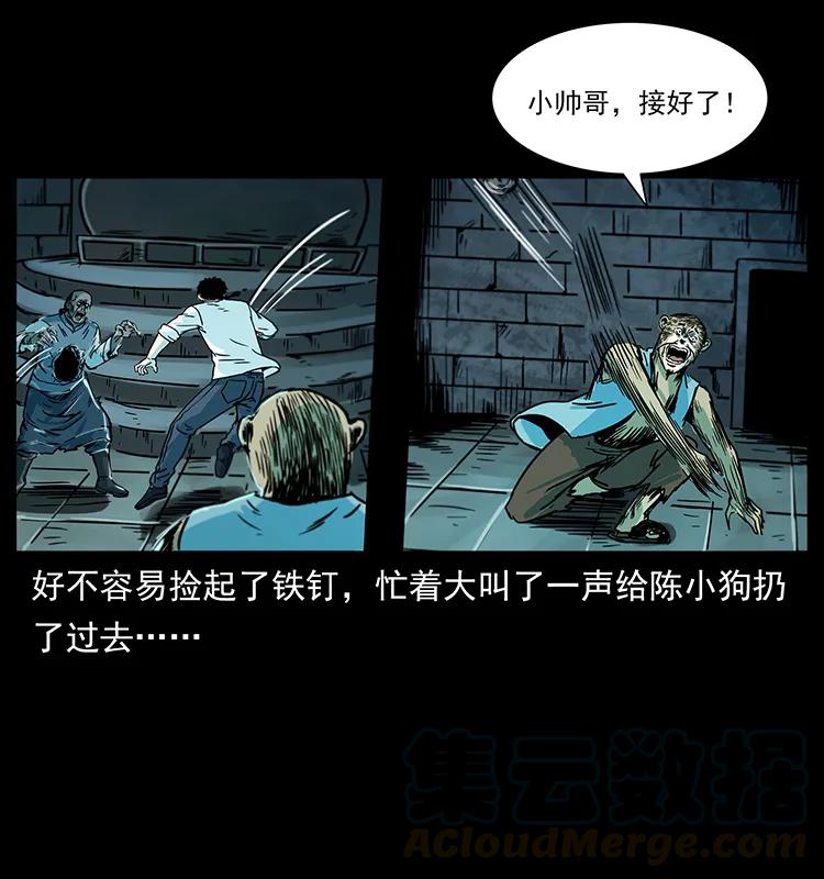 227 猴脑12