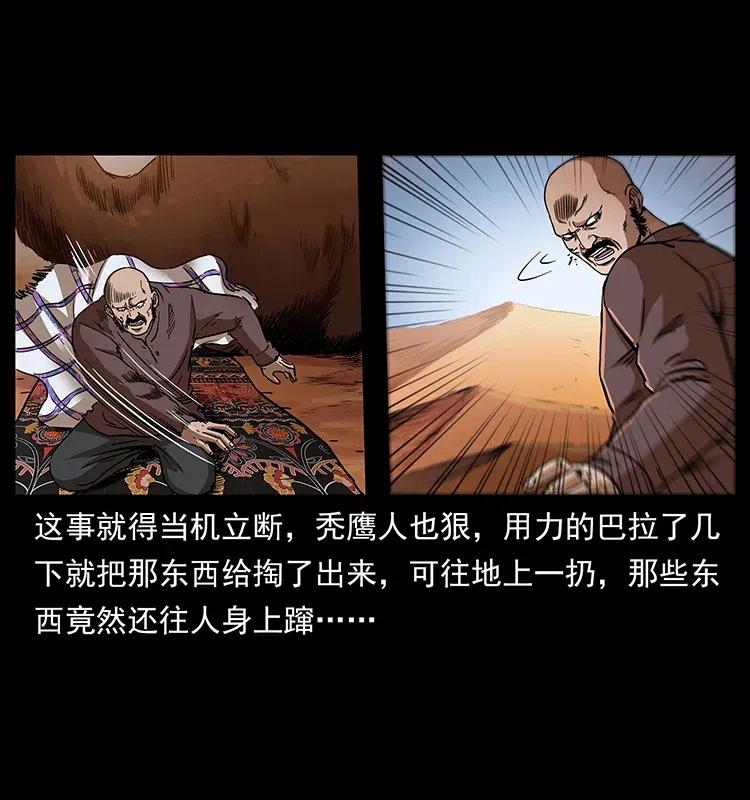 317 大漠凶兽15