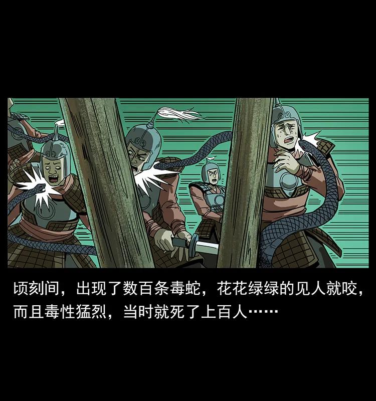 195 龙神71
