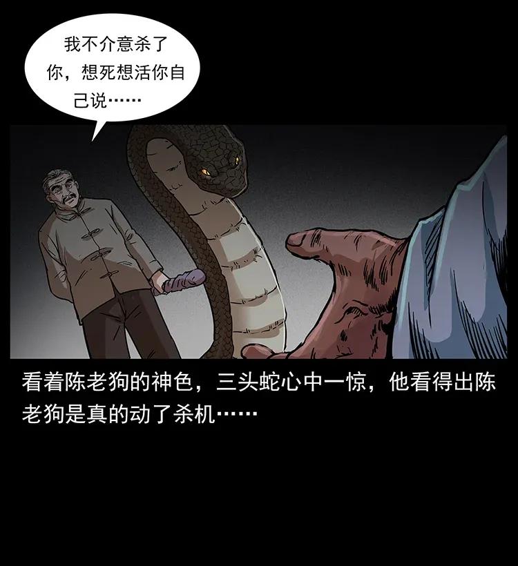 278 黑狐的危机！7