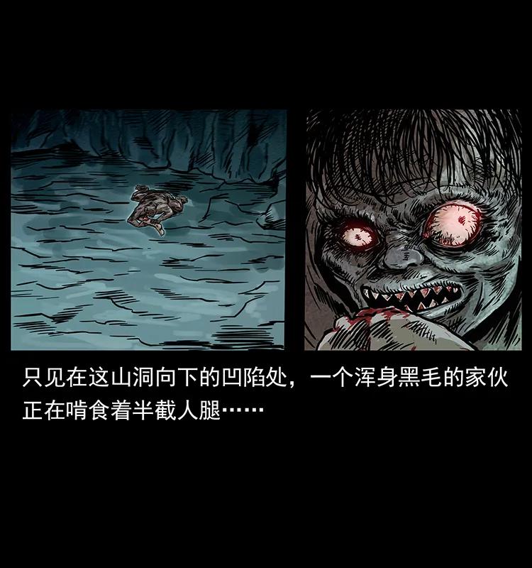 231 东海木龙21