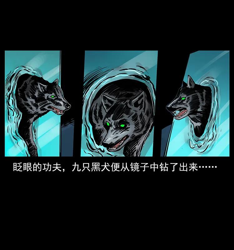 251 刨尸狗遇险82