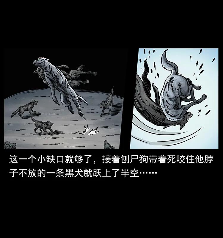 252 危机！危机5