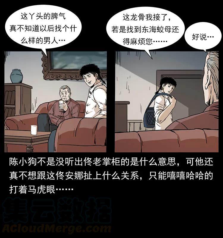 229 东海龙骨52