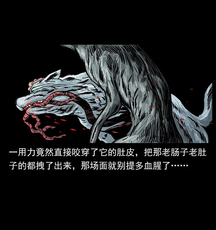 252 危机！危机26