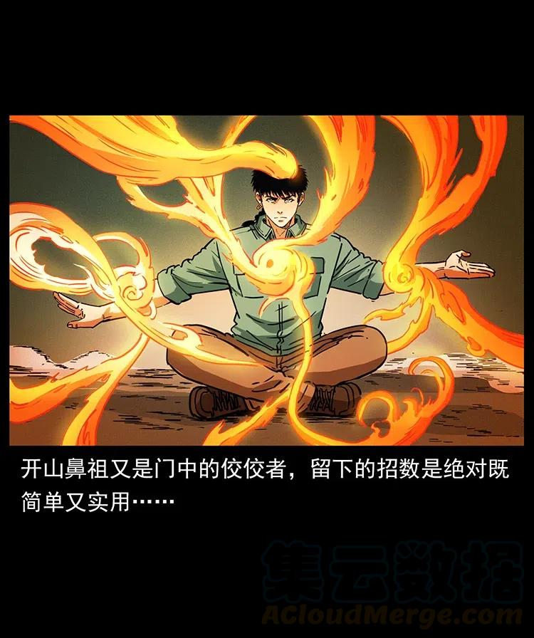 370 乌翅凤凰33