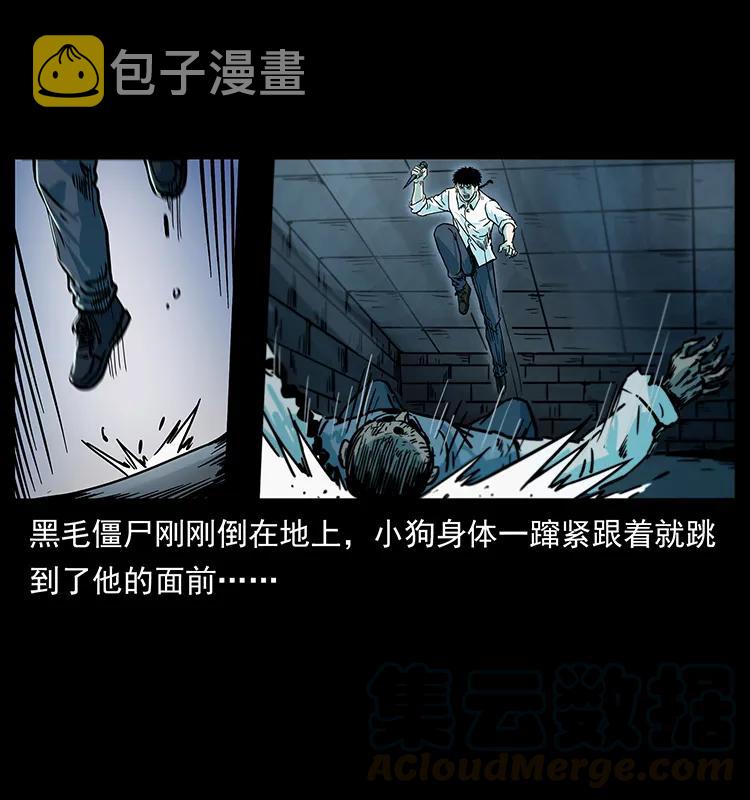227 猴脑16