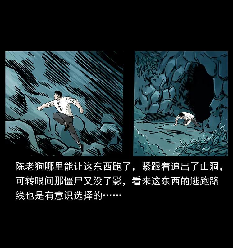 231 东海木龙31