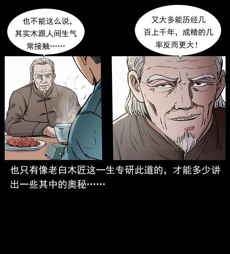 306 怨鬼？精怪？37