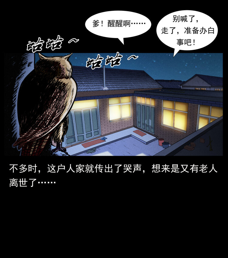 412 迷雾渐开49