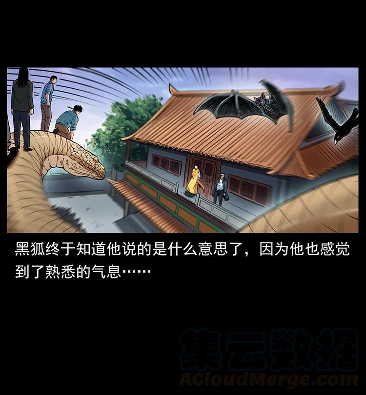 392 理想国度69