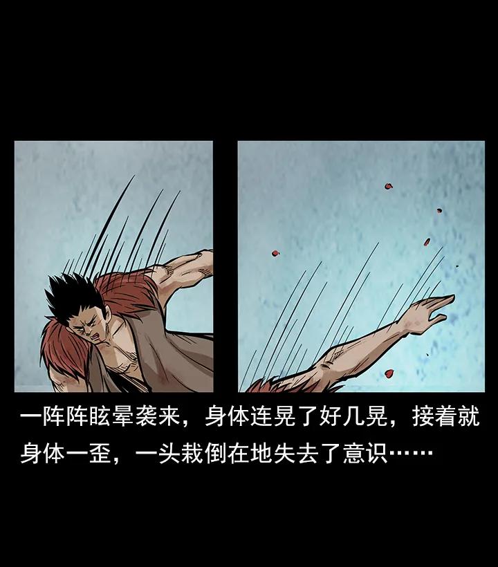 102 昆仑奴5