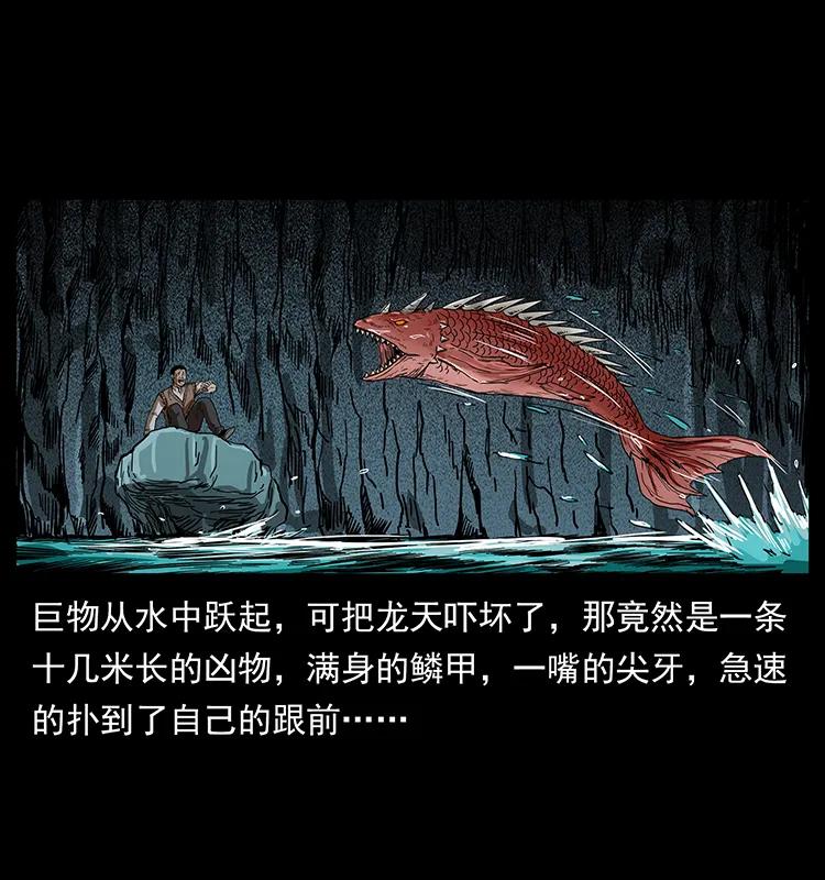 204 回家！54