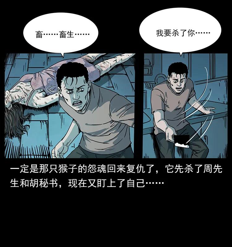 228 凶兽41