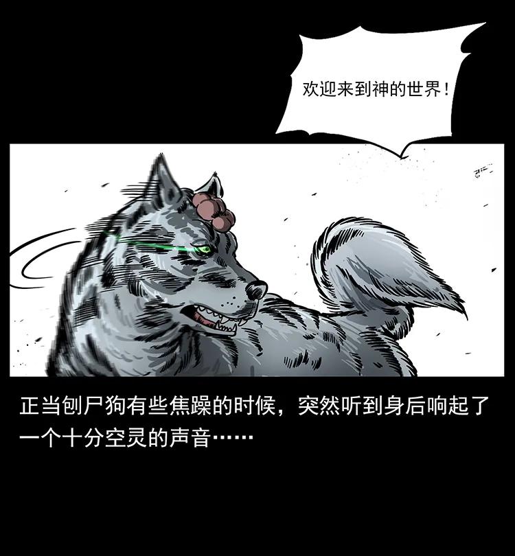 197 神之眼50