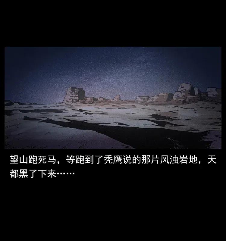 318 沙漠秃鹰11