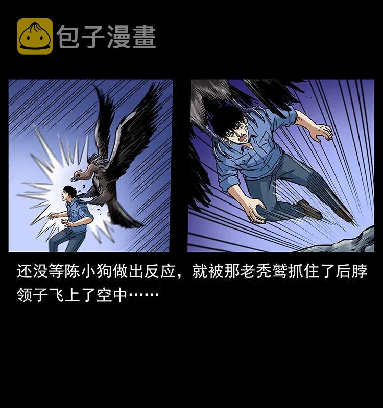 281 柱子归来！31