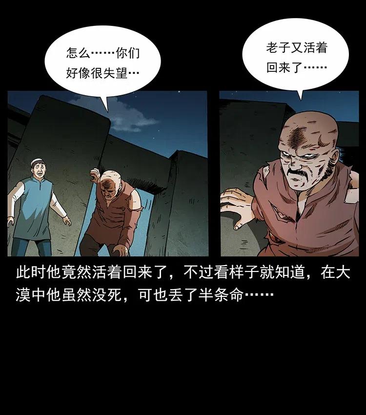 316 大漠归客75