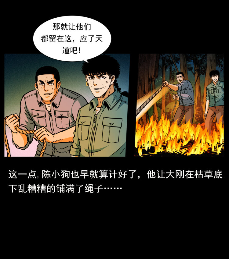 356 飞僵43