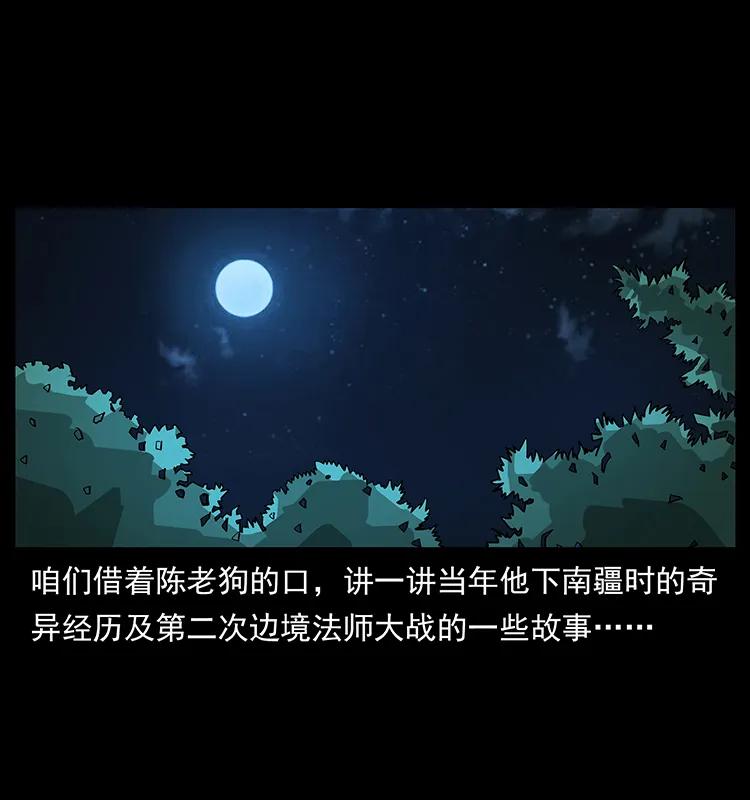 163 陈老狗下南疆1