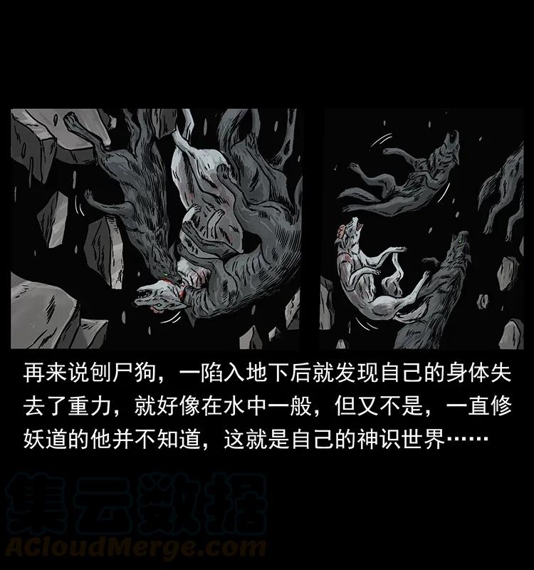 252 危机！危机56
