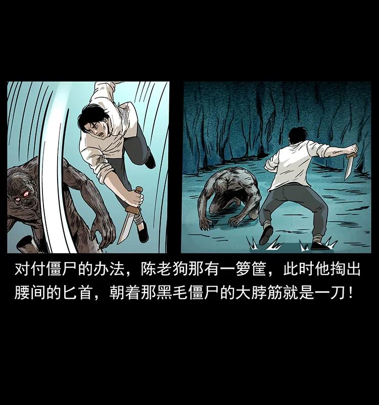 231 东海木龙23