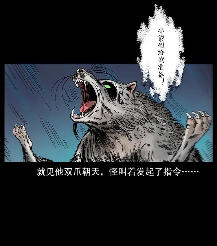 251 刨尸狗遇险71