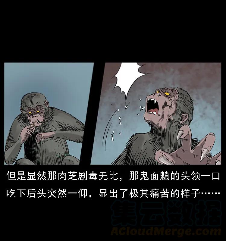 082 鬼桃树40