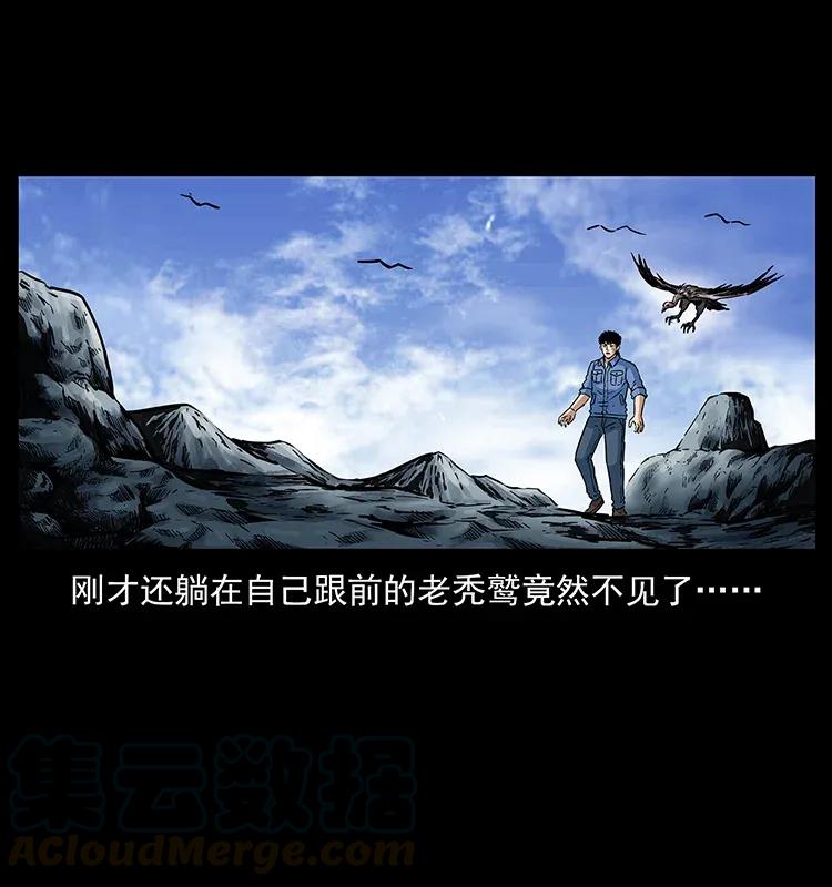 281 柱子归来！28
