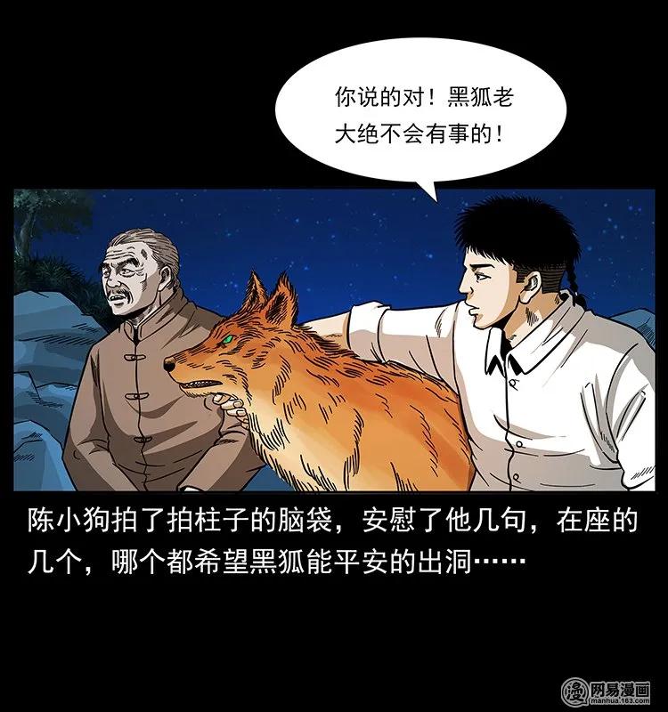 143 出马黑狐67