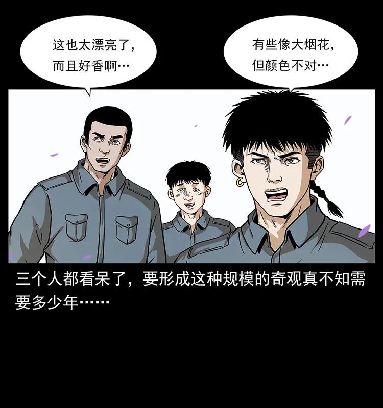 236 神秘的小岛39
