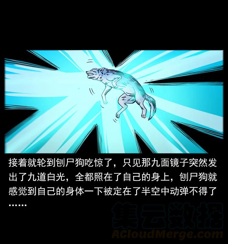 251 刨尸狗遇险76