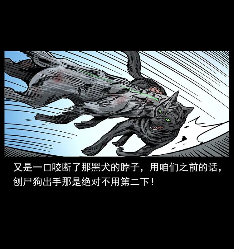 252 危机！危机33