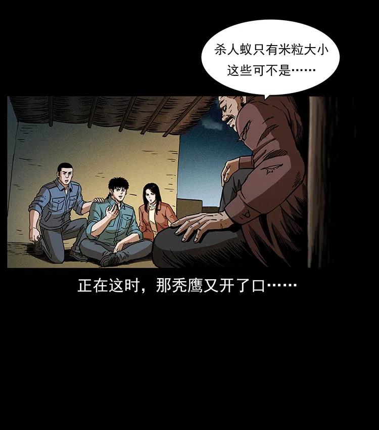 317 大漠凶兽9