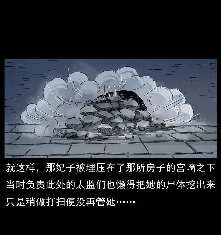 086 冷寒宫冤魂46