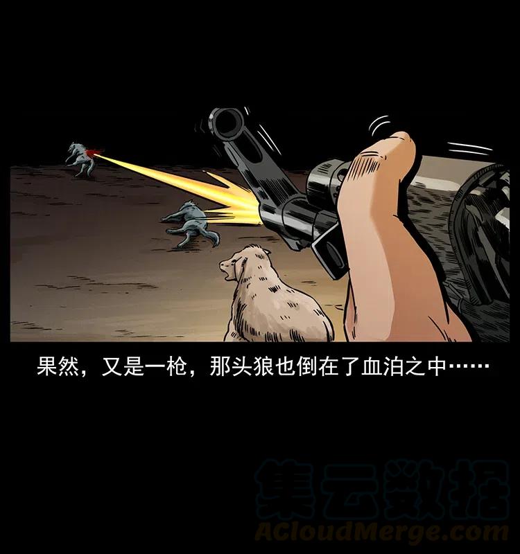 318 沙漠秃鹰36