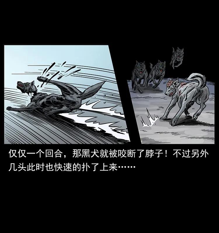 252 危机！危机38
