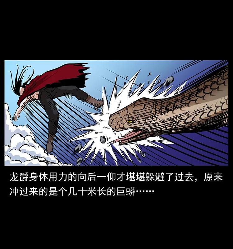 189 龙家的实力13