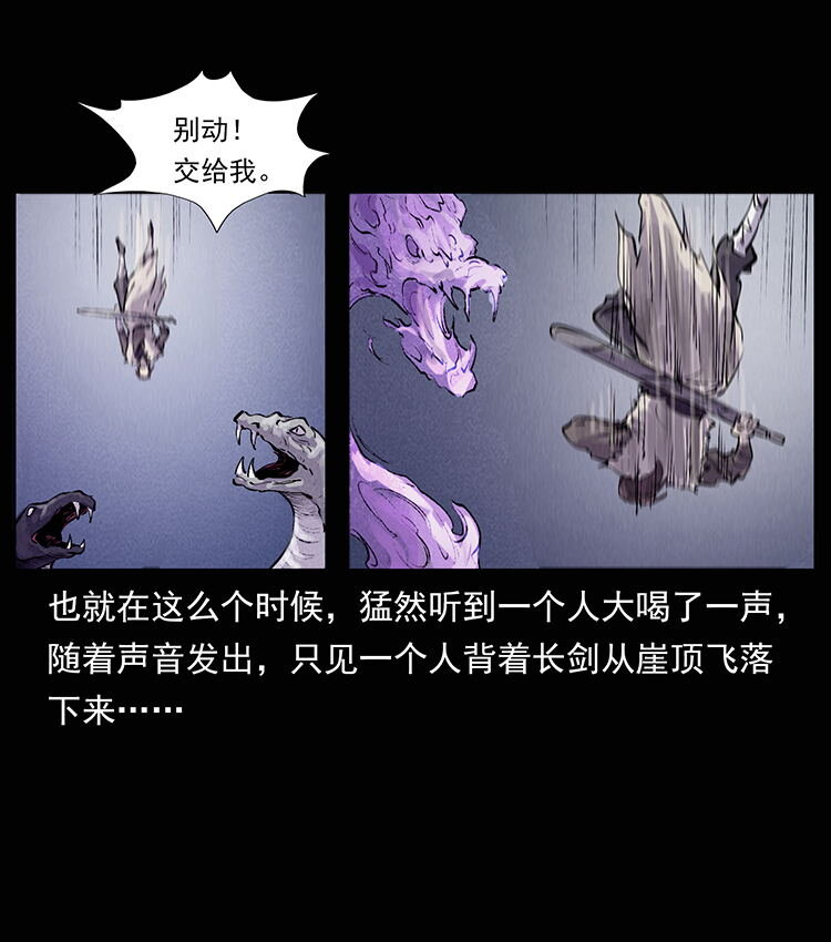 外传 洛生传8 封毒6