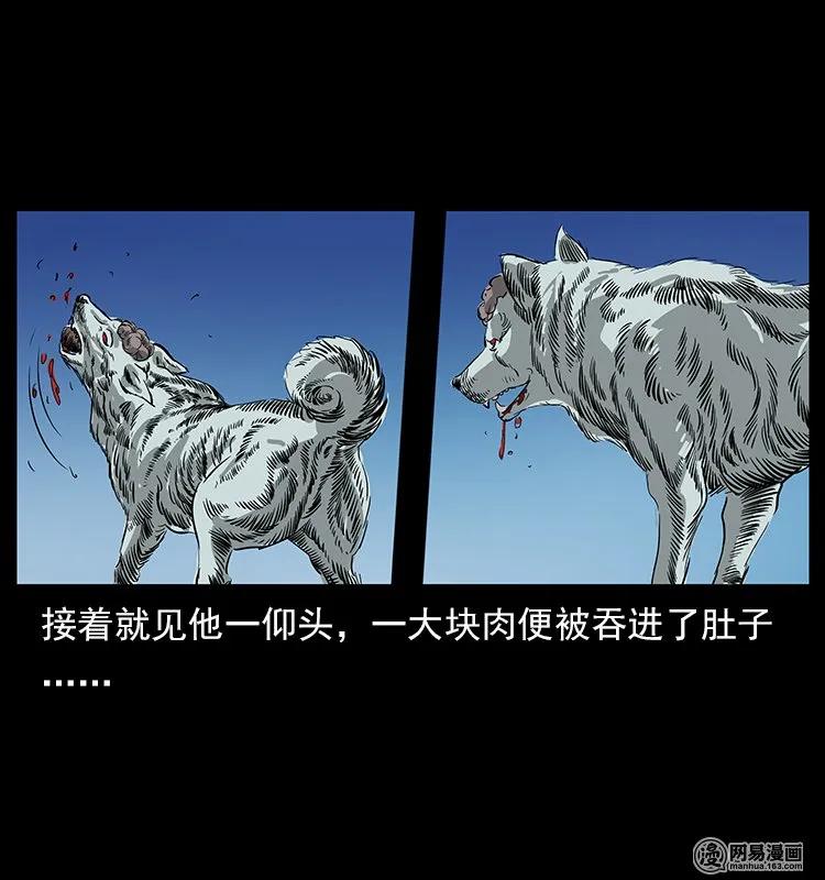 118 天宝仙牌45